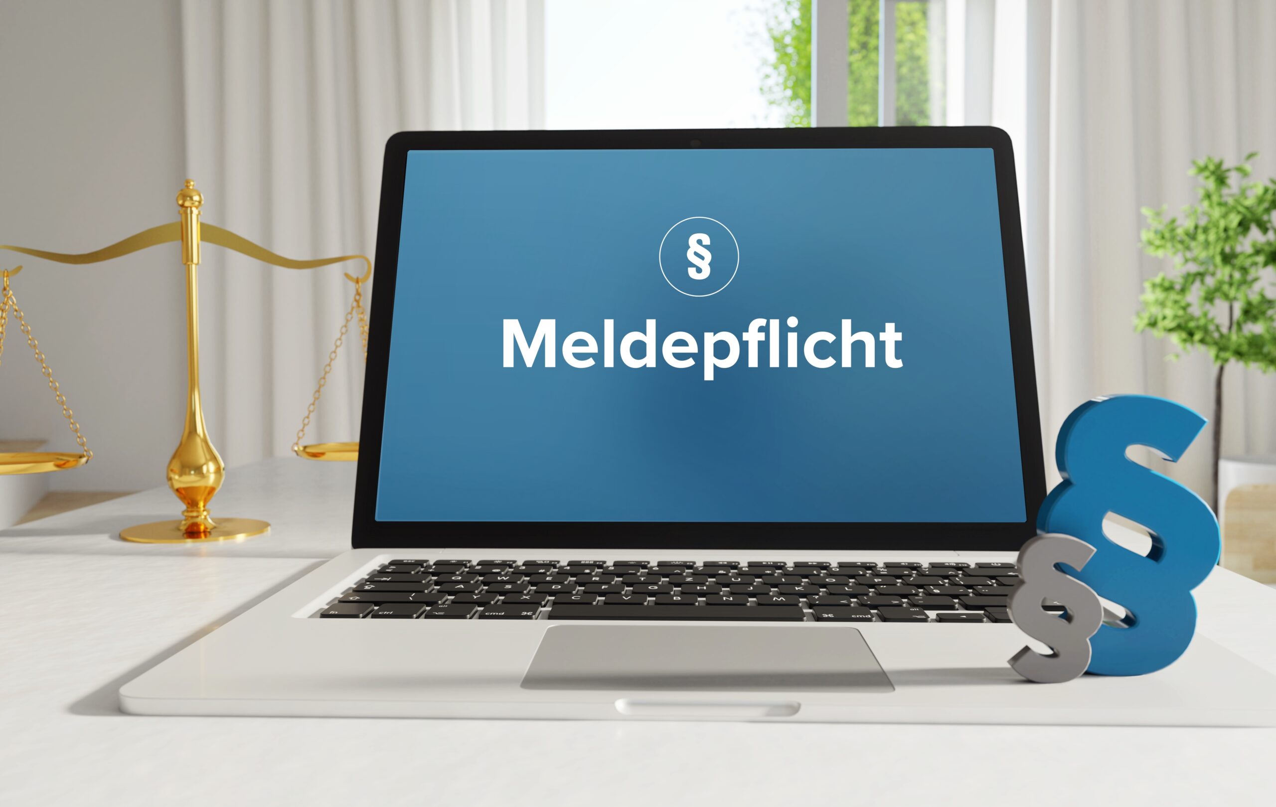 Die WiEReG-Jahresmeldung